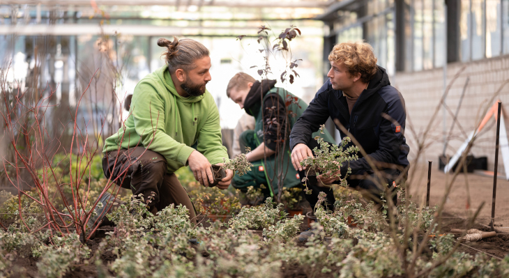 Gartenbau Symbolbild_Leando_Mannel_730x399px.jpg