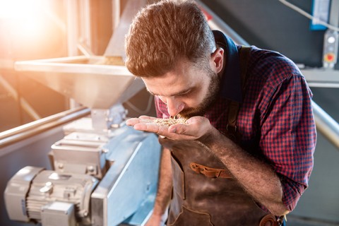 Zu den Arbeitsproben im Prüfungsbereich Brauprozesse gehört es auch, die Qualität von Roh- und Hilfsstoffen zu beurteilen.