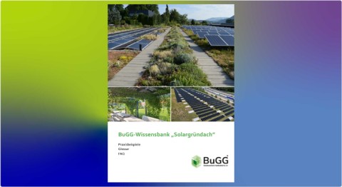 BuGG-Wissensbank Solargründach
