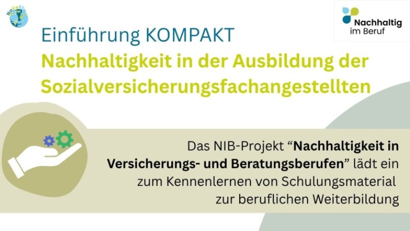 Info-Grafik NaVeBb Webinar