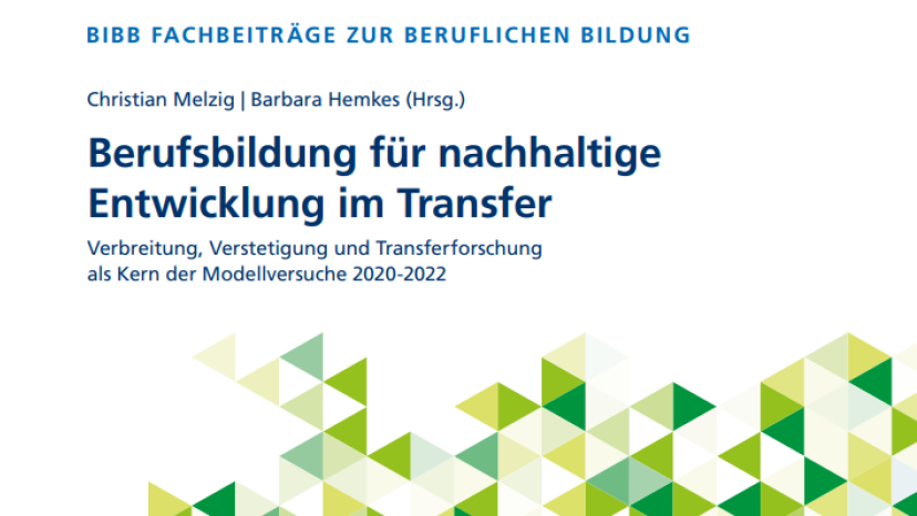 BBNE Publikation_730x399px.png