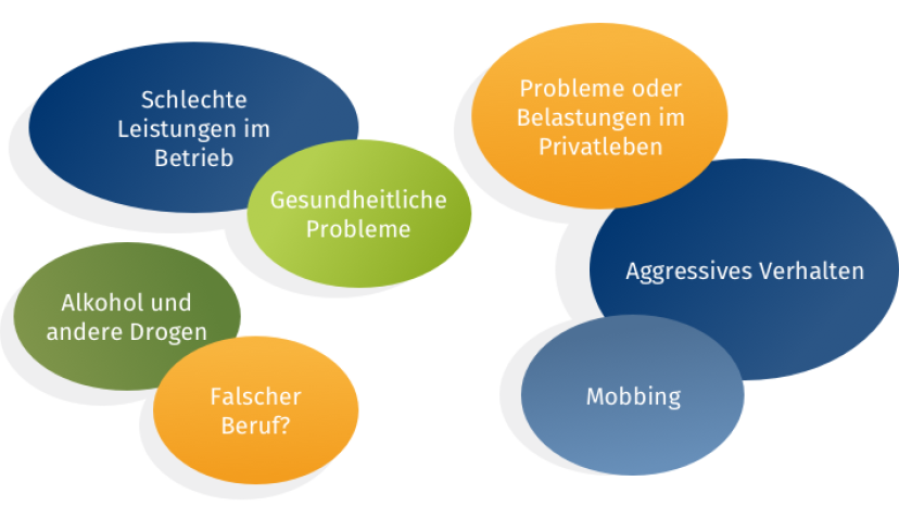 Leitfaden_ausbildende_Fachkraft_Kapitel 6_ Grafiken Content Konflikte ansprechen, erkennen 1.png