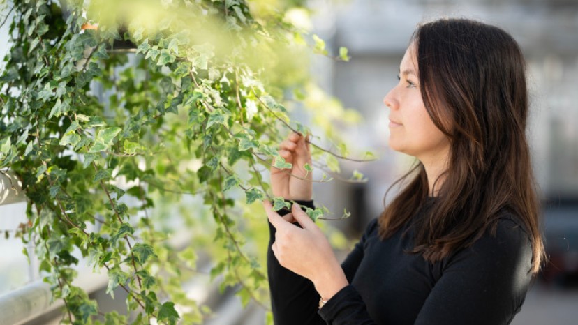 Nachhaltigkeit Symbolbild_Leando_Mannel_730x399px.jpg
