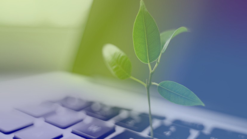 Nachhaltigkeit Webinar_427756353_Leando Farbverlauf.jpeg